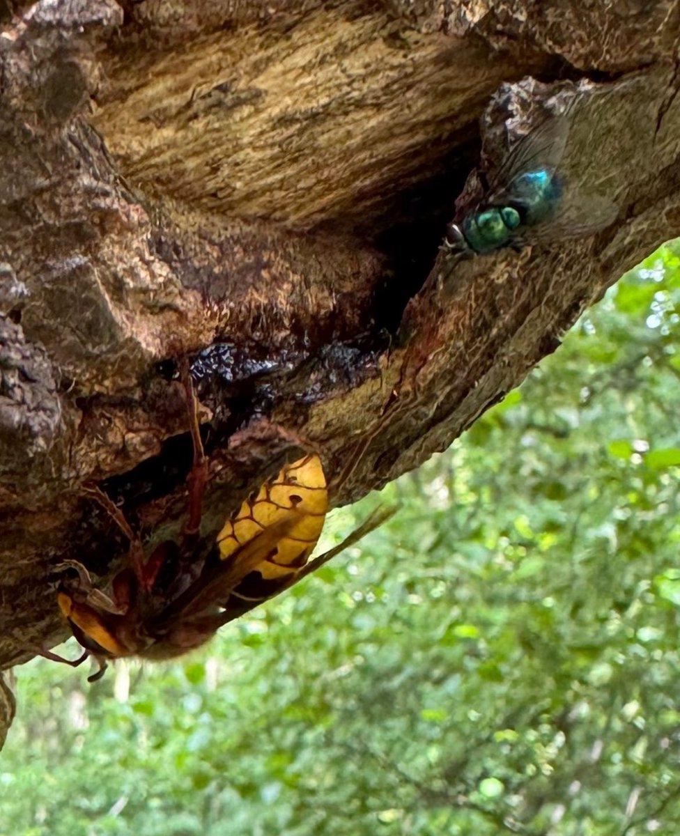 R Butler Creative Designs tweet media