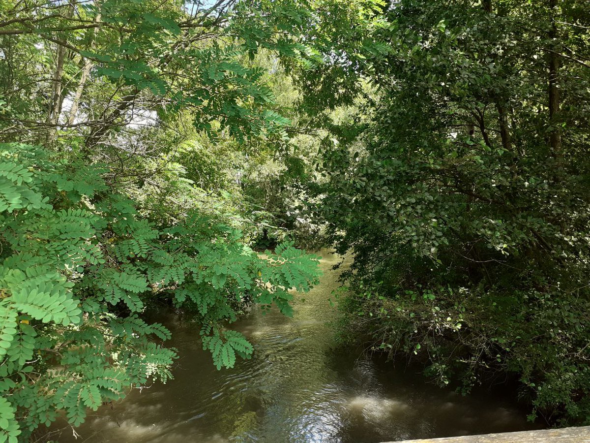 #Österreich
#Radfahren
#Leitha