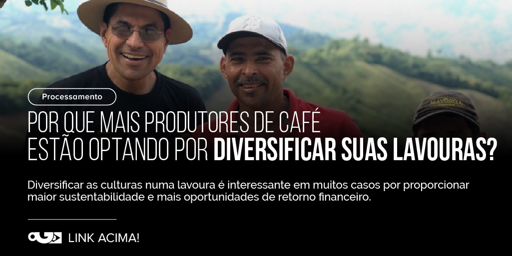 O cultivo de vários tipos diferentes de culturas comerciais significa que os produtores podem diversificar seus fluxos de renda — o que é uma ferramenta útil para combater os baixos preços do café e a insegurança alimentar.
👉perfectdailygrind.com/pt/2024/07/01/…