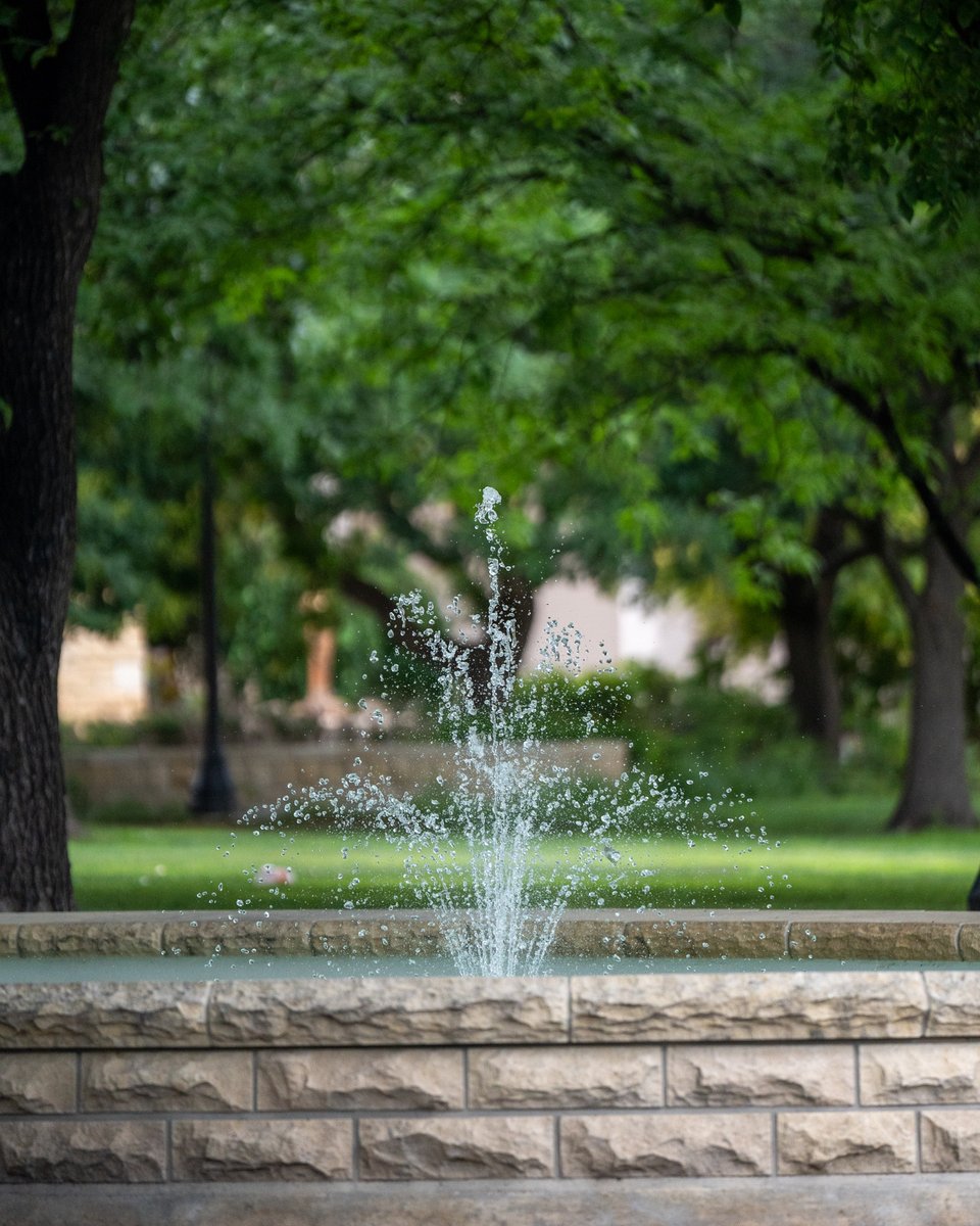 FHSUAlumni's tweet photo. This hot stretch has us thinking about getting in. https://t.co/9EY0M2ZmcZ