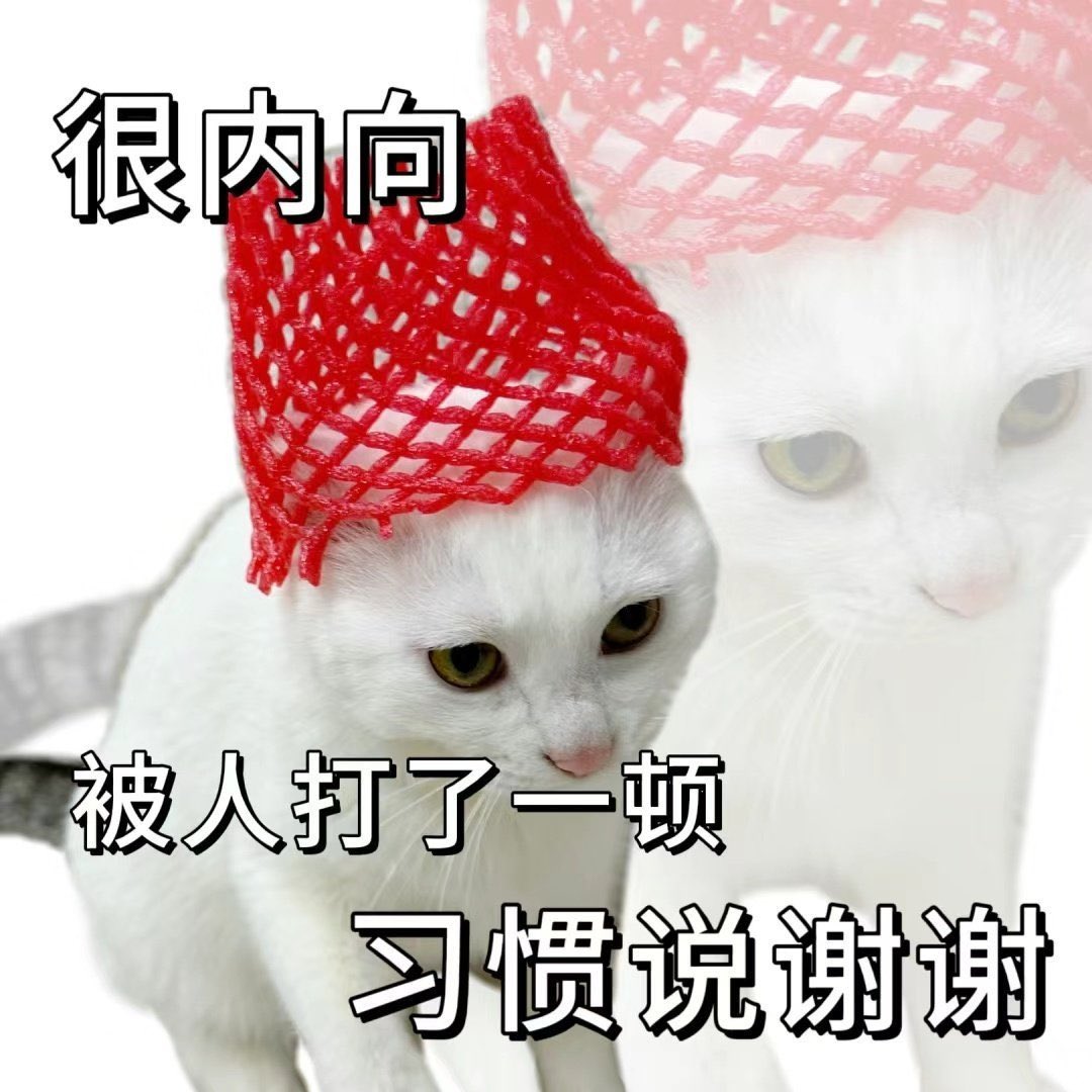 太可怕了 感觉好像现实朋友知道了我的推 试探的问我玩不玩 好家伙 锁推了 #拉拉 #les https://t.co/wSNyZBaMw6