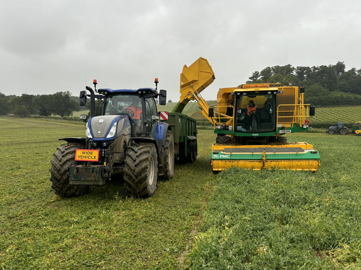 Russell Corfield tweet media