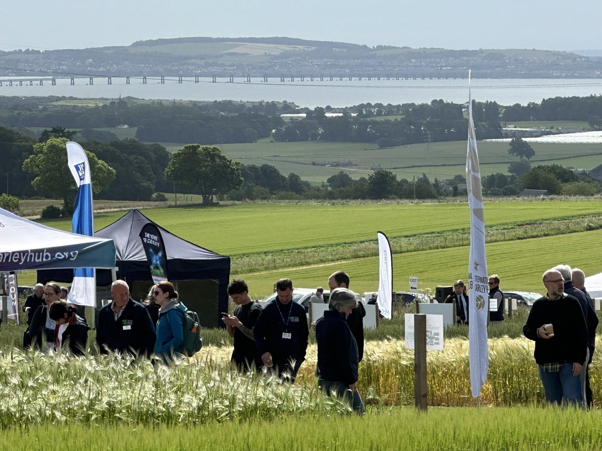 Voluntary Initiative (VI) tweet media