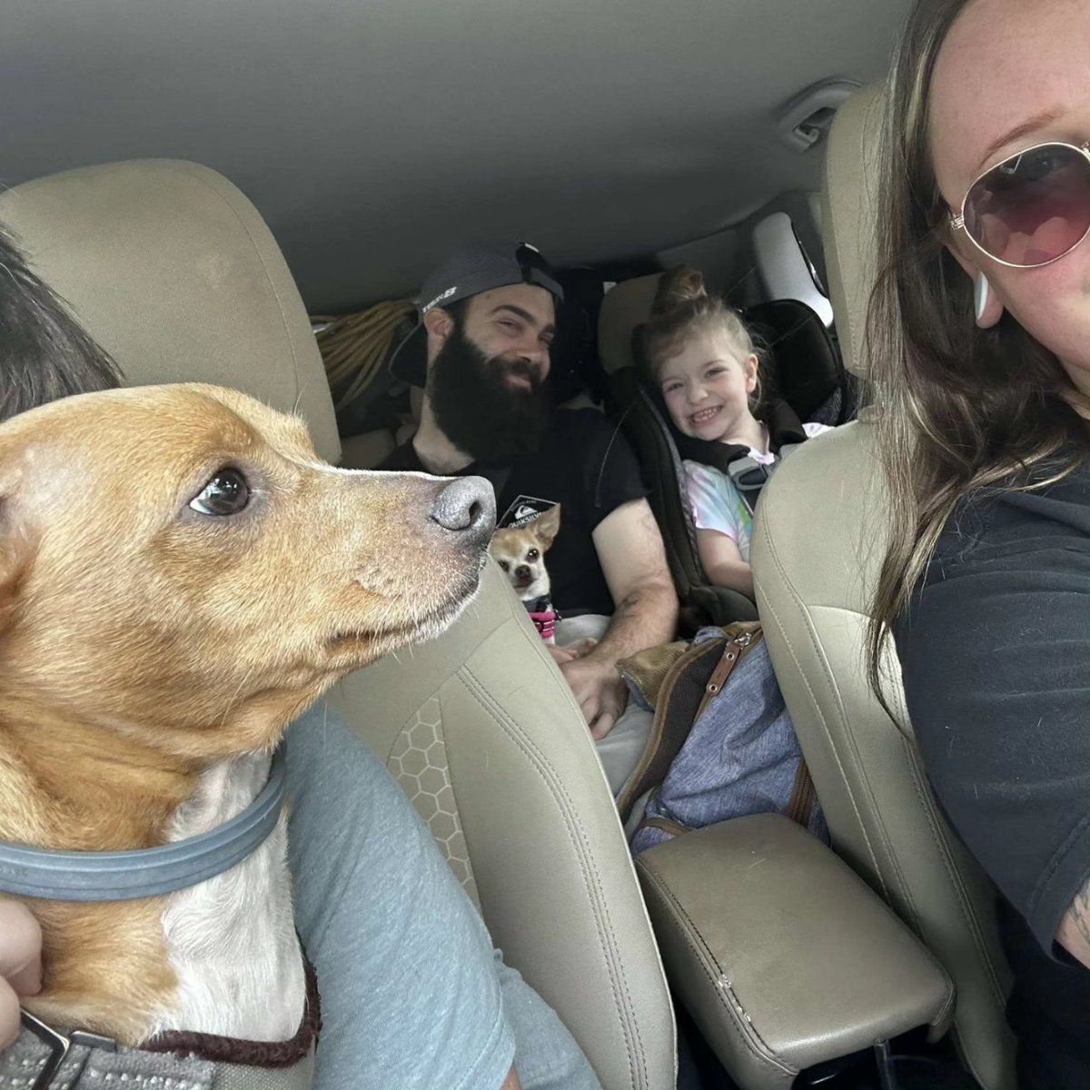 RedDaggerTV's tweet image. Camping pt.1 
2 adults 2 kids and 3 dogs.
Eevees first fish, first fins and goggles, and kayak ride.