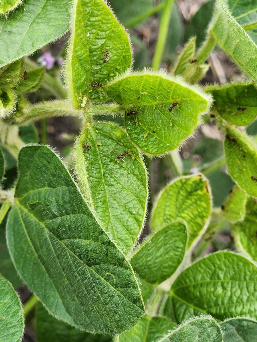 Bruce Potter tweet media