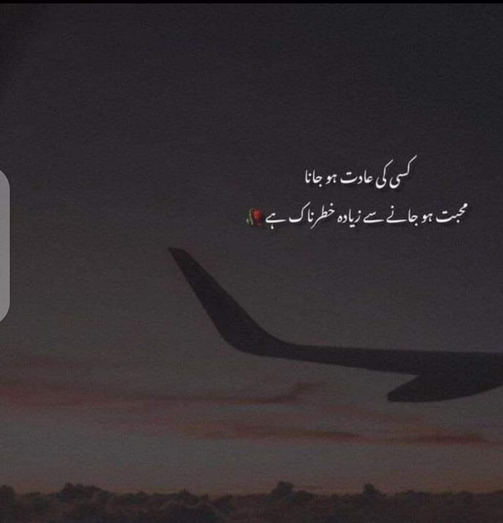 Shahzaib tweet media