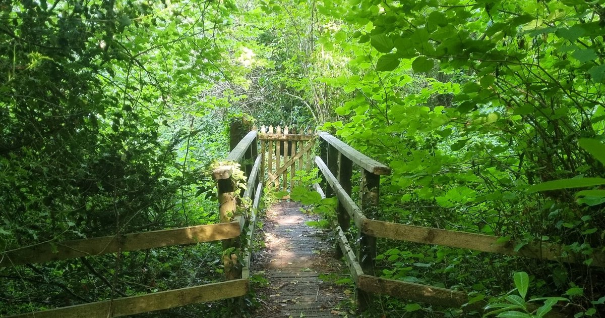 Ozymandiasdust's tweet photo. I'm walking to clear my head... 😊 #Devon #walking #Escot https://t.co/k6b29clRwc