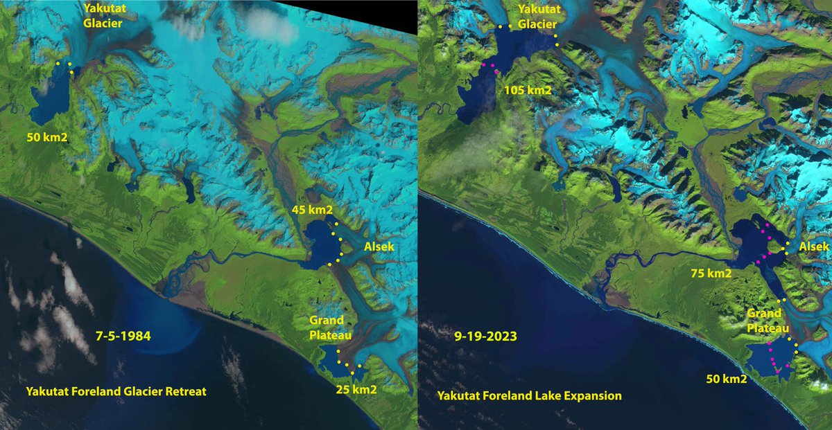I have worked on 30+ glaciers that have now disappeared, yet the most spectacular changes I have observed are large retreats of Alaksan glaicers leading to lake expansion of over 100 km2, such as for Alsek, Grand Plateau and Yakutat Glacier. independent.co.uk/news/juneau-ap…