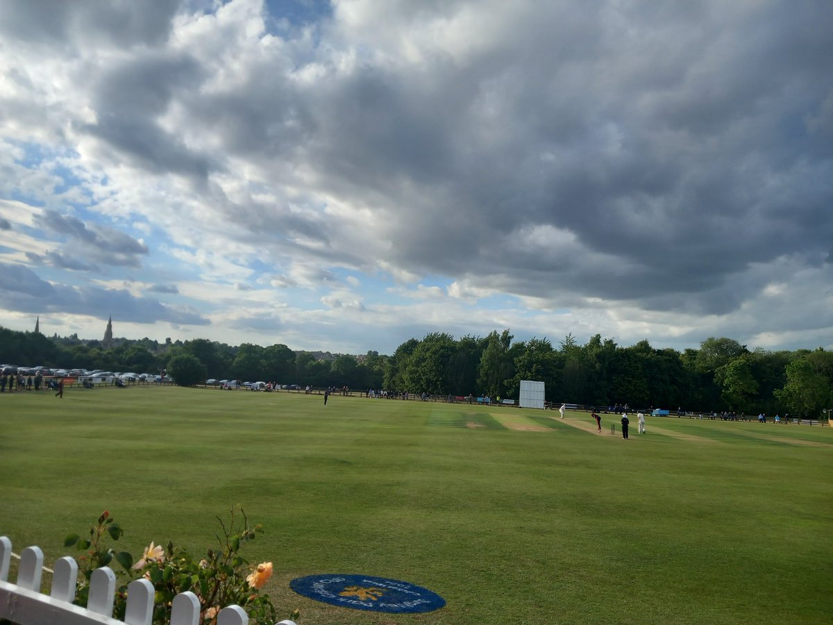 Nicholas Hogg tweet media