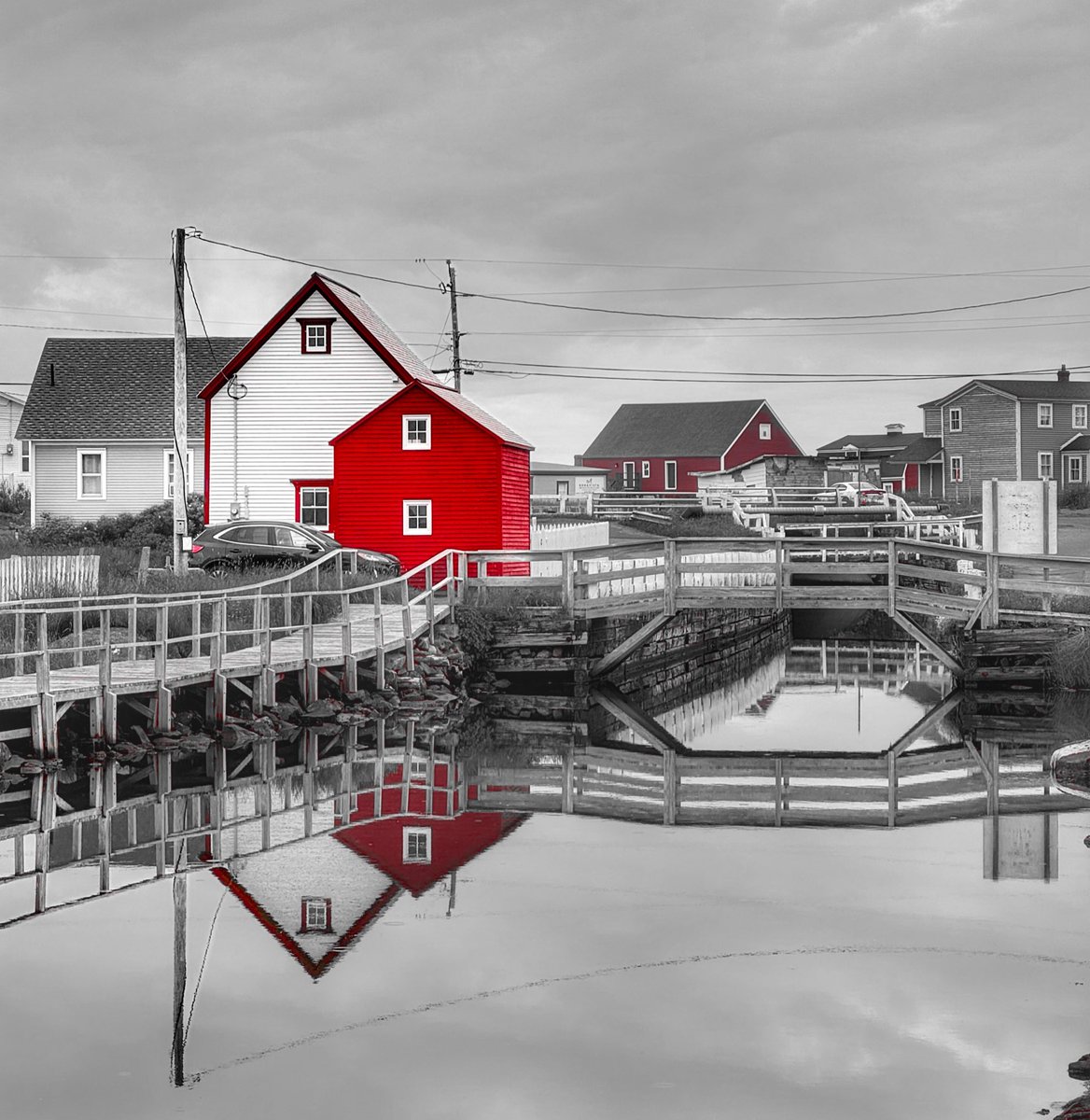 Highlighting the Reds. 

Bonavista, NL