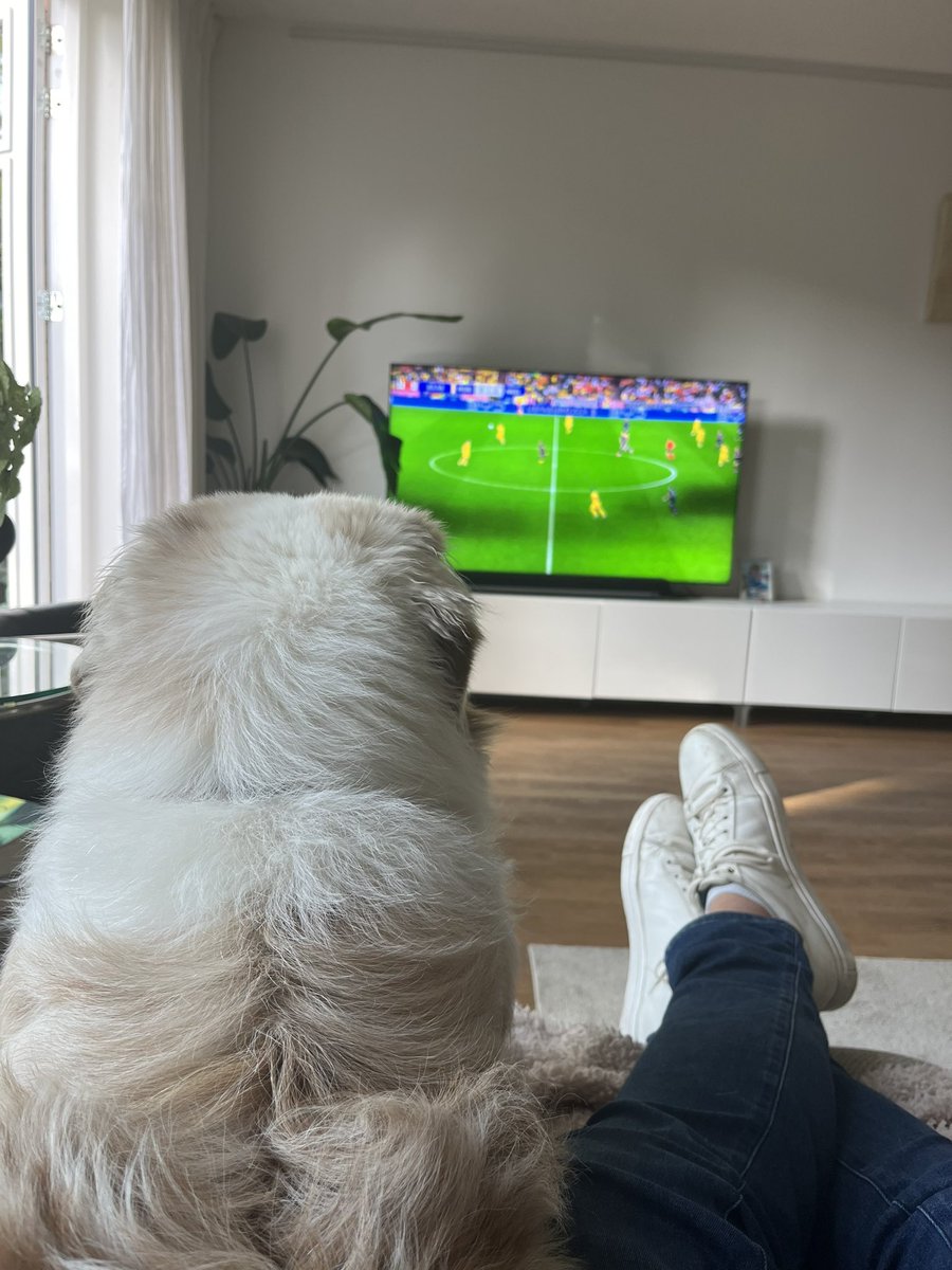 frits wester tweet media