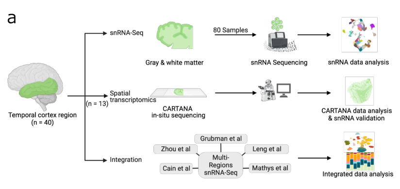 Lukas Valihrach tweet media