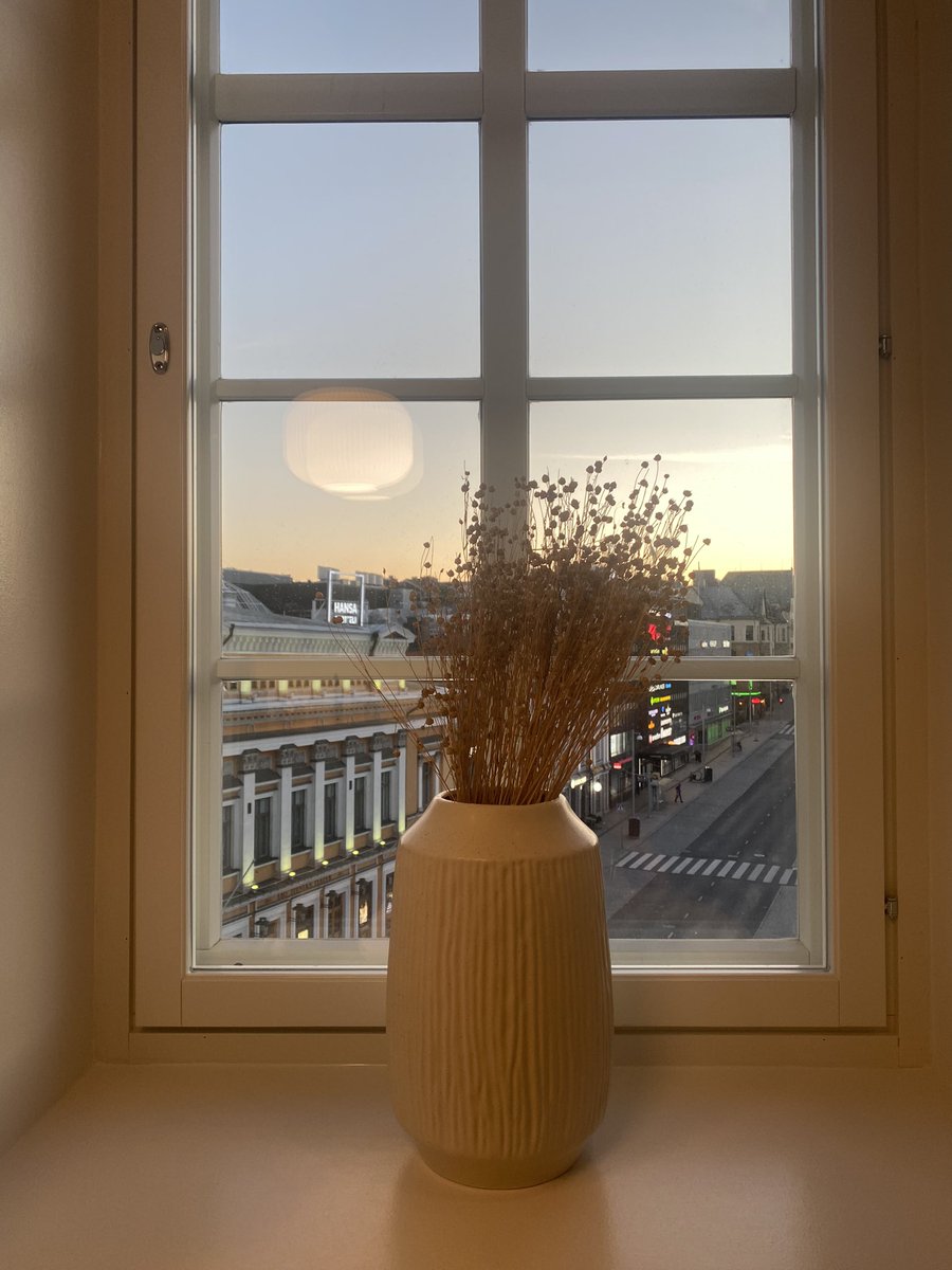 Sini Pitkänen tweet media