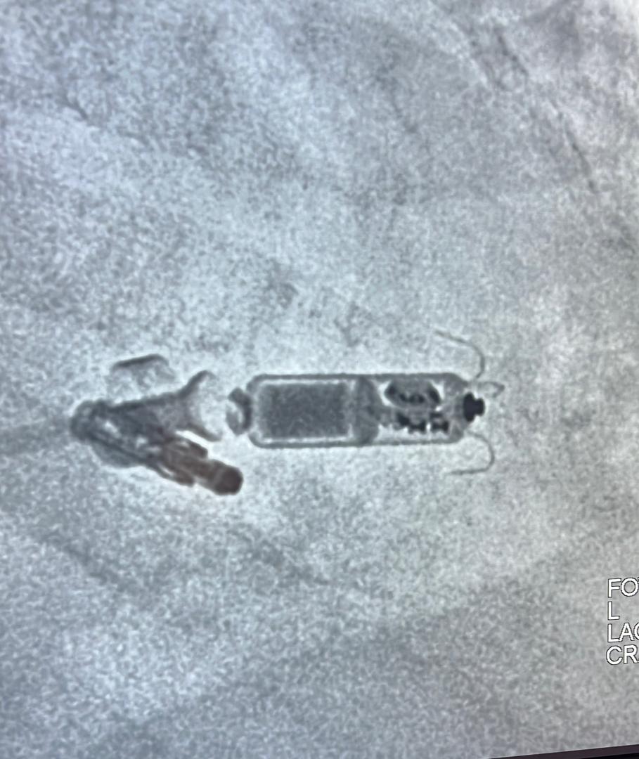 Dr Benchetrit tweet media