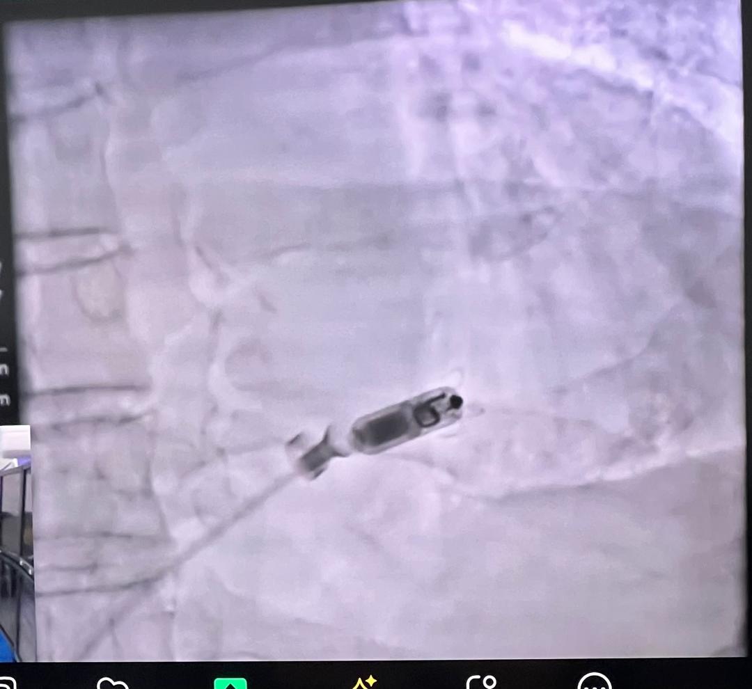 Dr Benchetrit tweet media