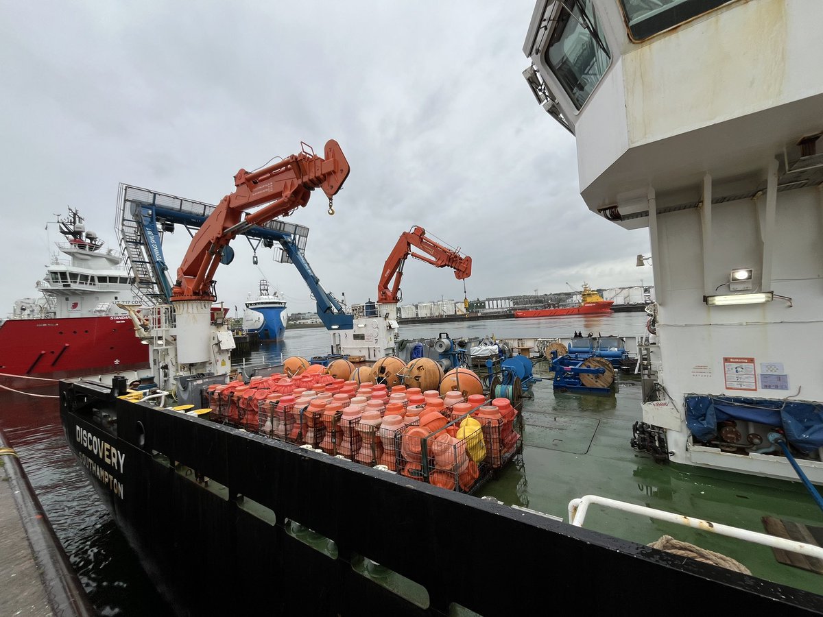 Kristin Burmeister tweet media