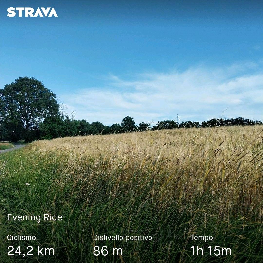 glbproject's tweet photo. Guarda la mia attività su Strava: https://t.co/u1NcTlZOL0
#TourDeFrance2024 #daje https://t.co/oXgwt7u3aW