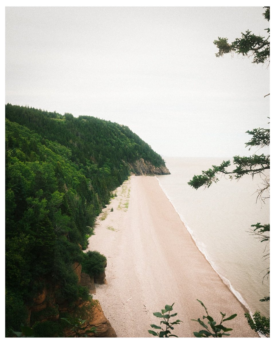 KaydenRoy's tweet photo. Long weekend #fuji #fujifilm #x100v https://t.co/Vvgk7pqk57