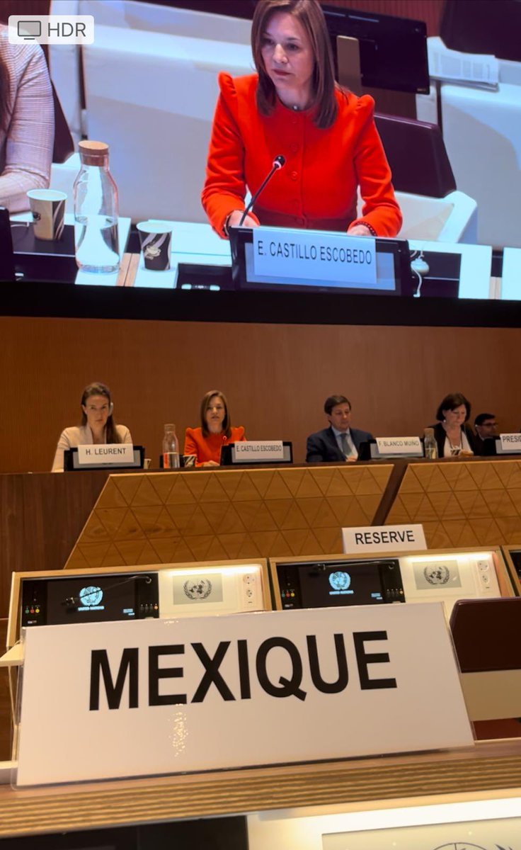 MisionMexOI's tweet photo. Subprocuradora de @Profeco, Erika Castillo, presentó logros de #México en materia de fortalecimiento de protección al consumidor durante 8 panel intergubernamental de grupo de expertos en Derecho y Política de Protección al Consumidor de @UNCTAD https://t.co/uZCAeIEIfA