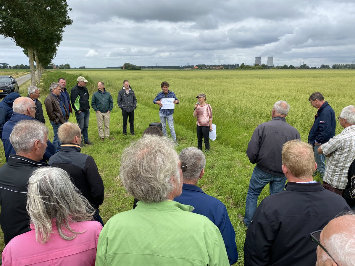 WicoDieleman's tweet photo. Veel belangstelling bij DE grensoverschrijdende veldexcursie vanuit ‘Grenspark Groot Saeftinghe’ - Biodivers Zeeuws Bouwplan! Toelichting over: dunner inzaai granen, vormen van strokenteelt, monitoring en kansen voor korte keten en verdienmodel! @PolderNatuurZ @provzeeland @ZLTO https://t.co/ZKmFTYrSPK