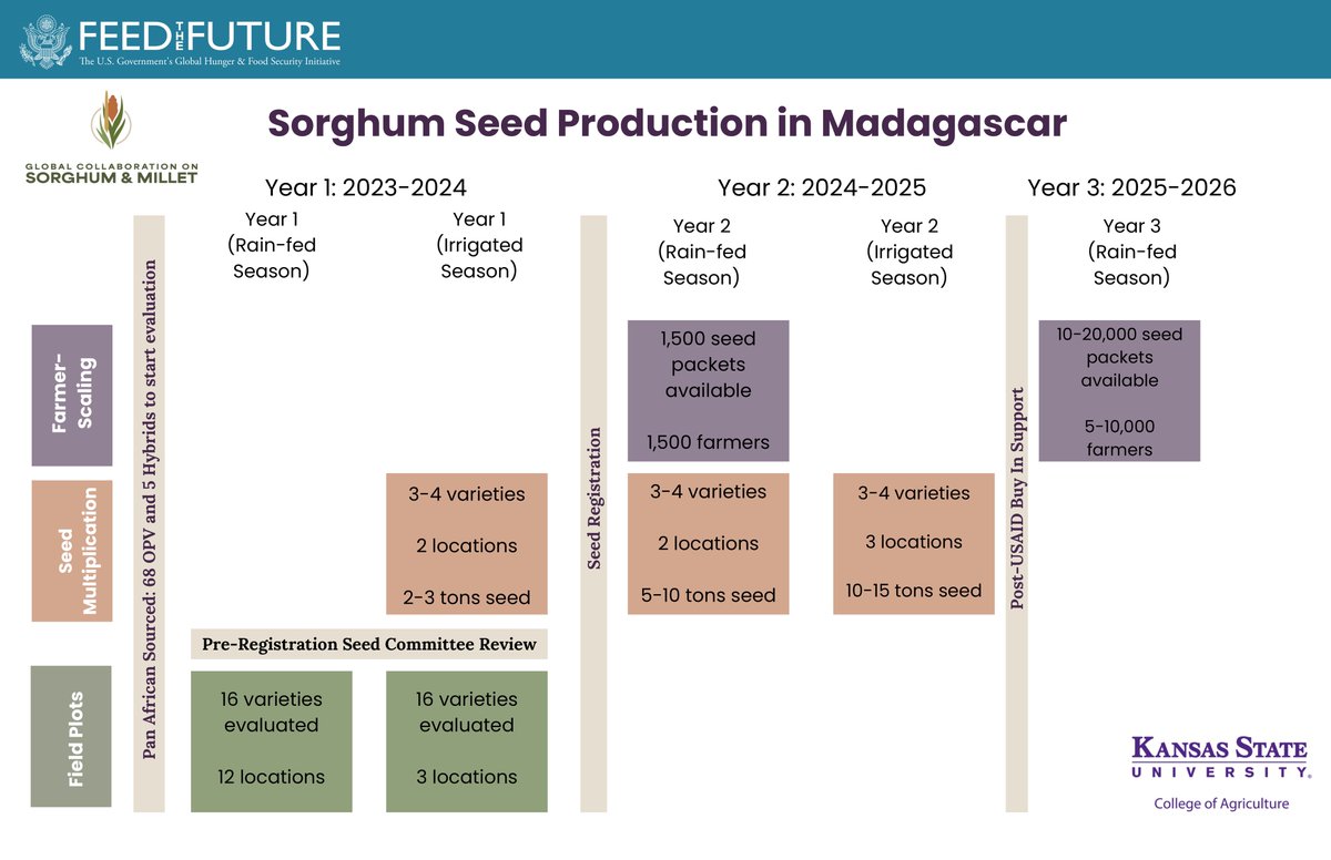 Global Collaboration on Sorghum and Millet🌾 tweet media