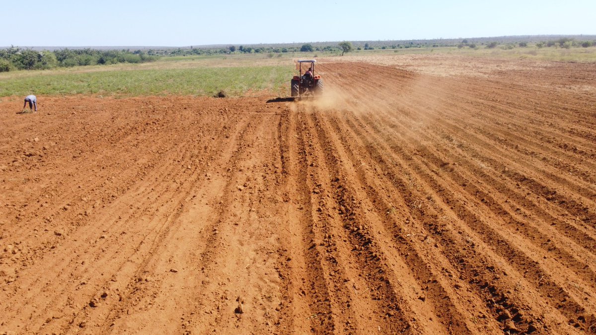 Global Collaboration on Sorghum and Millet🌾 tweet media
