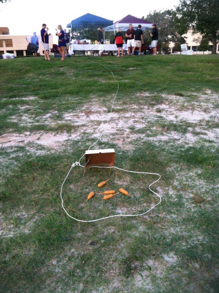 pstein11's tweet photo. I apologize, they were never meant to be thrown. https://t.co/6qLjPPPAcH