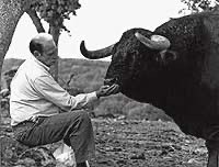 “La base de mi tauromaquia es la distancia. Cada toro tiene la suya. Lo que hay que hacer es darle aire al toro para que quiera tomar los engaños. Hay que ir poco a poco, esperar que te lo diga él”.