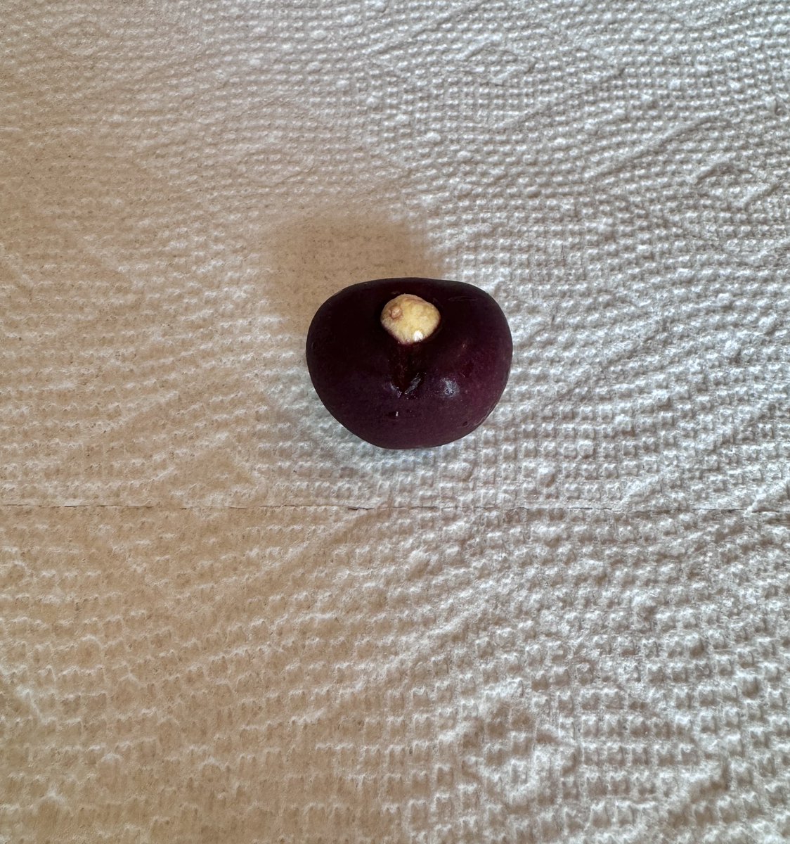 Justin Hurwitz tweet media