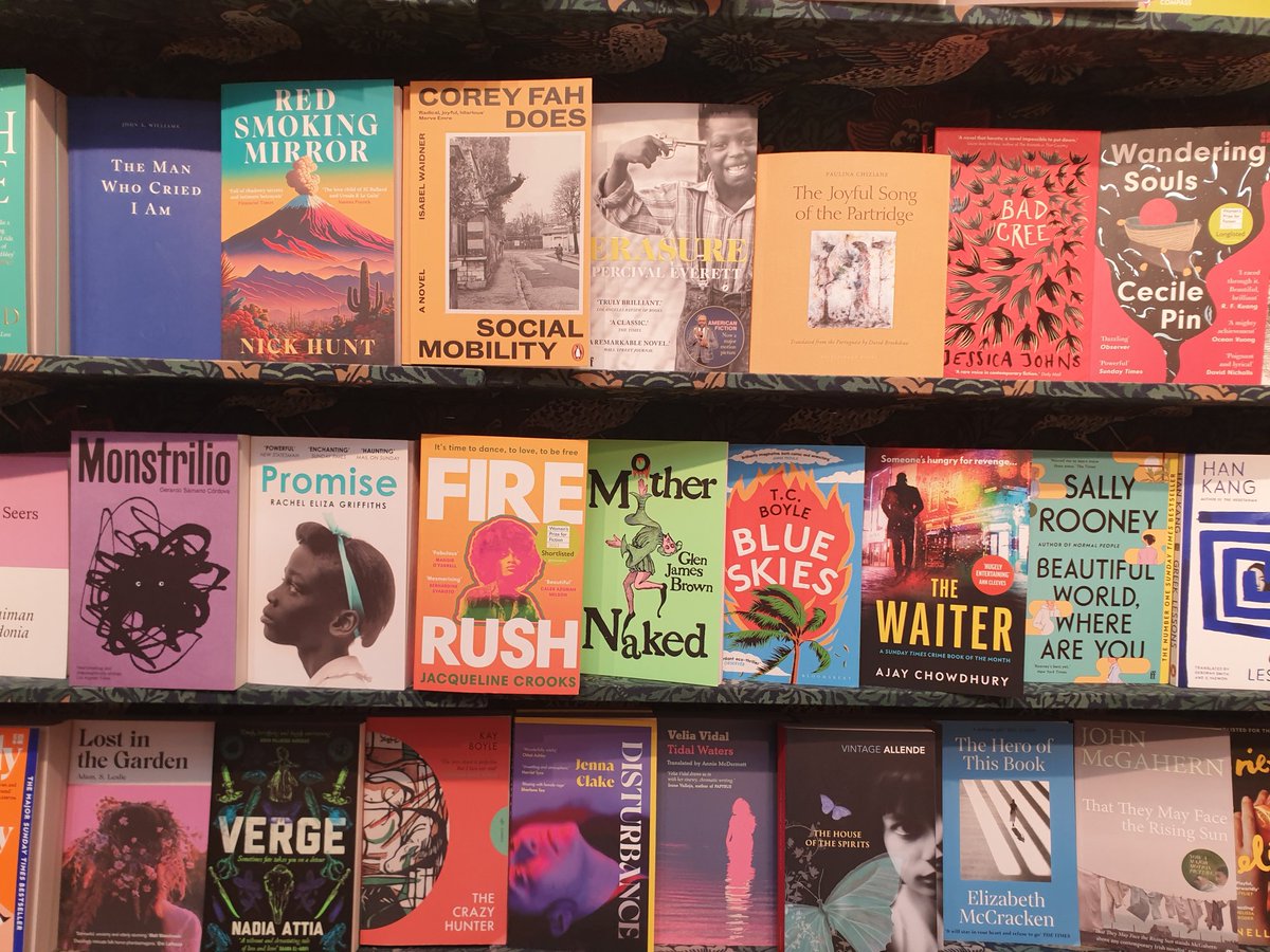 Emily Midorikawa tweet media