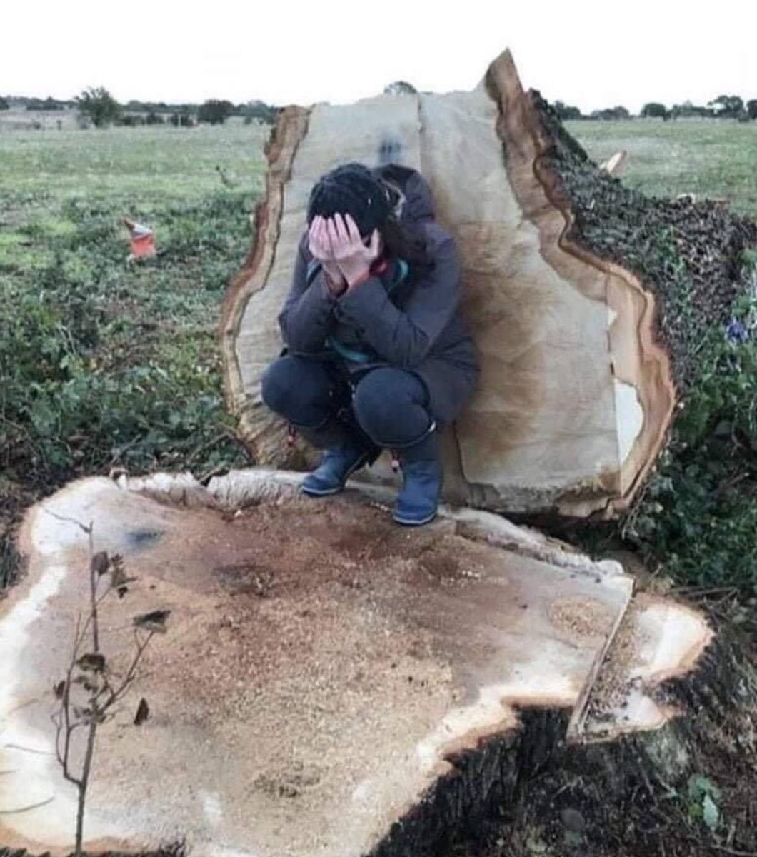 Artemisfornow's tweet image. 🔥ELECTION - The great HS2 con.

Net Zero is NOT about CO2. It’s about profit. 

▪️When Mozart was 8 years old this tree was over 40.
▪️When first Steam Engine was patented this tree was 50.
▪️When the Wright Brothers flew the first motorized plane this tree was 180.
▪️Now at…