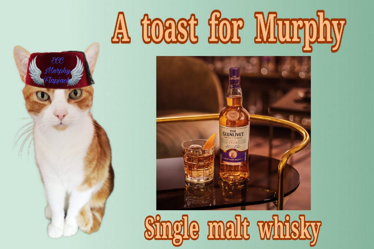 BuddyakaBuddyB1's tweet photo. @twitchytail1 @EdibleCatsClub Obs coarses hered beed. Twos Murf #ECCBar #ACandleForMurphy https://t.co/fWpA6d8p3y