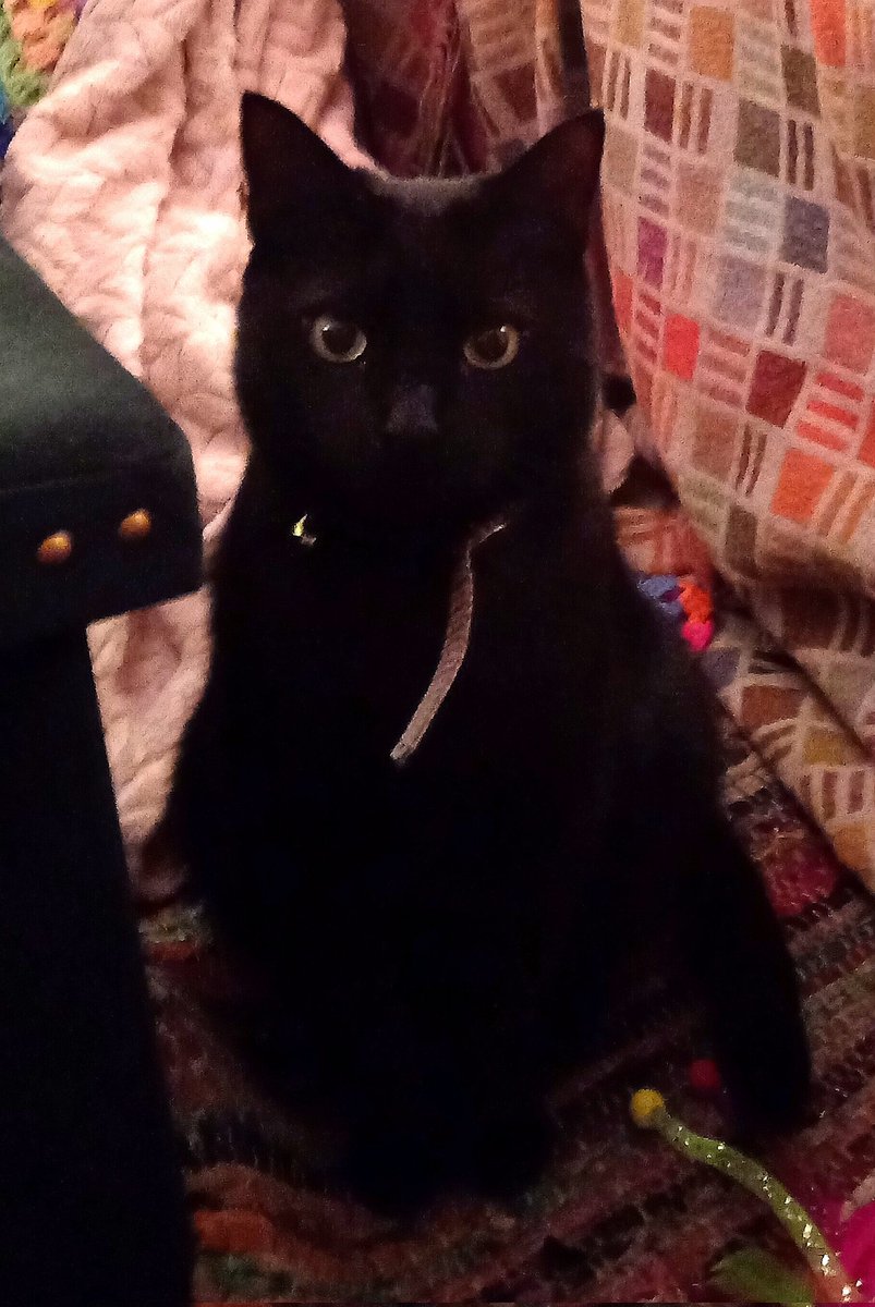 SianRevs has left. See bio for contact deets. tweet media