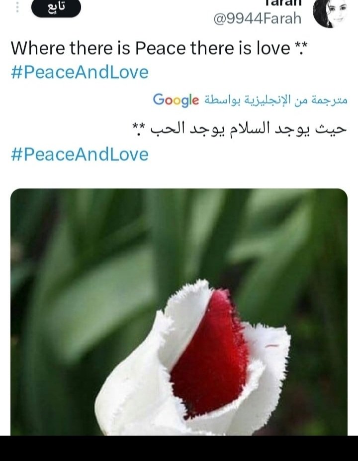 #الامريكي يظم ط...يز السفيره ويلبس
الكرفتى ذهبيه تلبس الون الاحمر
لون الحب🌹بصوره والثاني المغرده
الامركيه ورده ورق حيث يوجد السلام
يوجد الحب  والاثاره والمتعه ودفع الموال
بعد فضحتها مع السفير الاسرايلي هذي
سياست الولايات  الصهيونيه الارهبيه
وبيدان يغرد بتس رمز حسابه🔞🔥
<a href="/POTUS/">President Donald J. Trump</a>