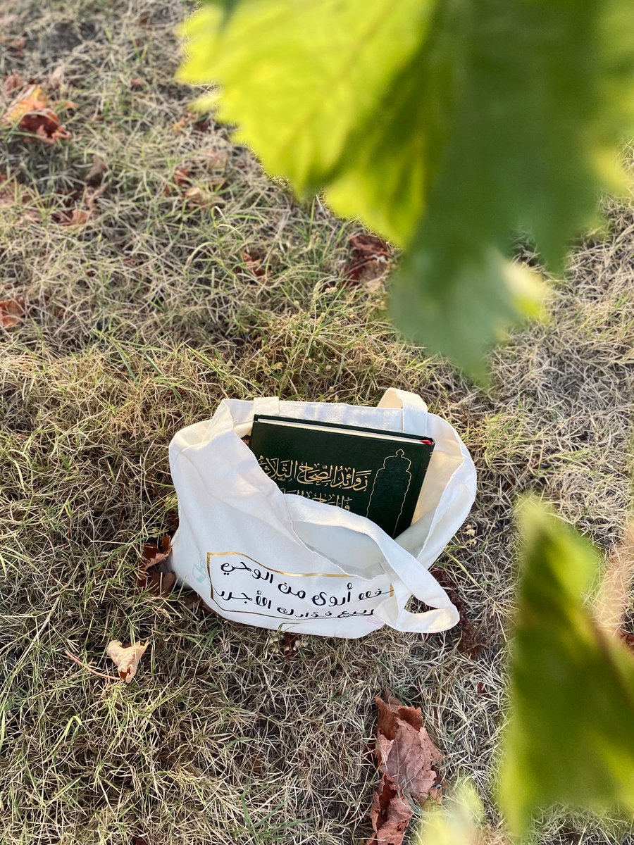 رفيف🌧️ tweet media