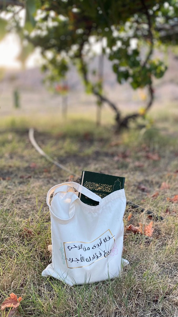 رفيف🌧️ tweet media