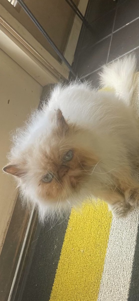 <a href="/Kathlee54272830/">Kathleen Burke</a> Awe! Adorable