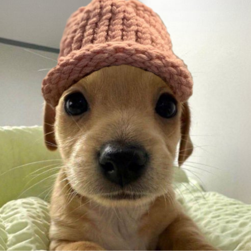 SOLSWIPE | The Next Gen Solana Debit Card 💳 tweet media