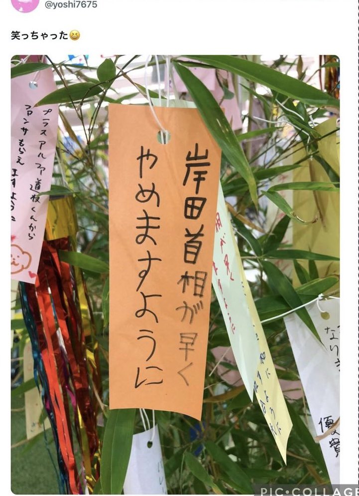 子供に言われてる😆
同意で御座います