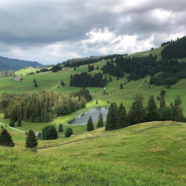 𝕵𝖆𝖓𝖊 tweet media