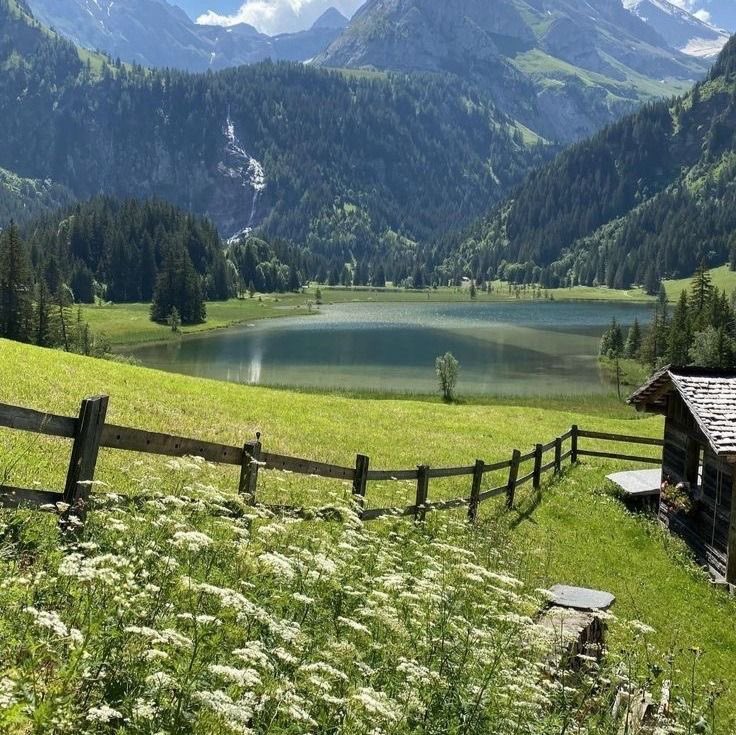 𝕵𝖆𝖓𝖊 tweet media