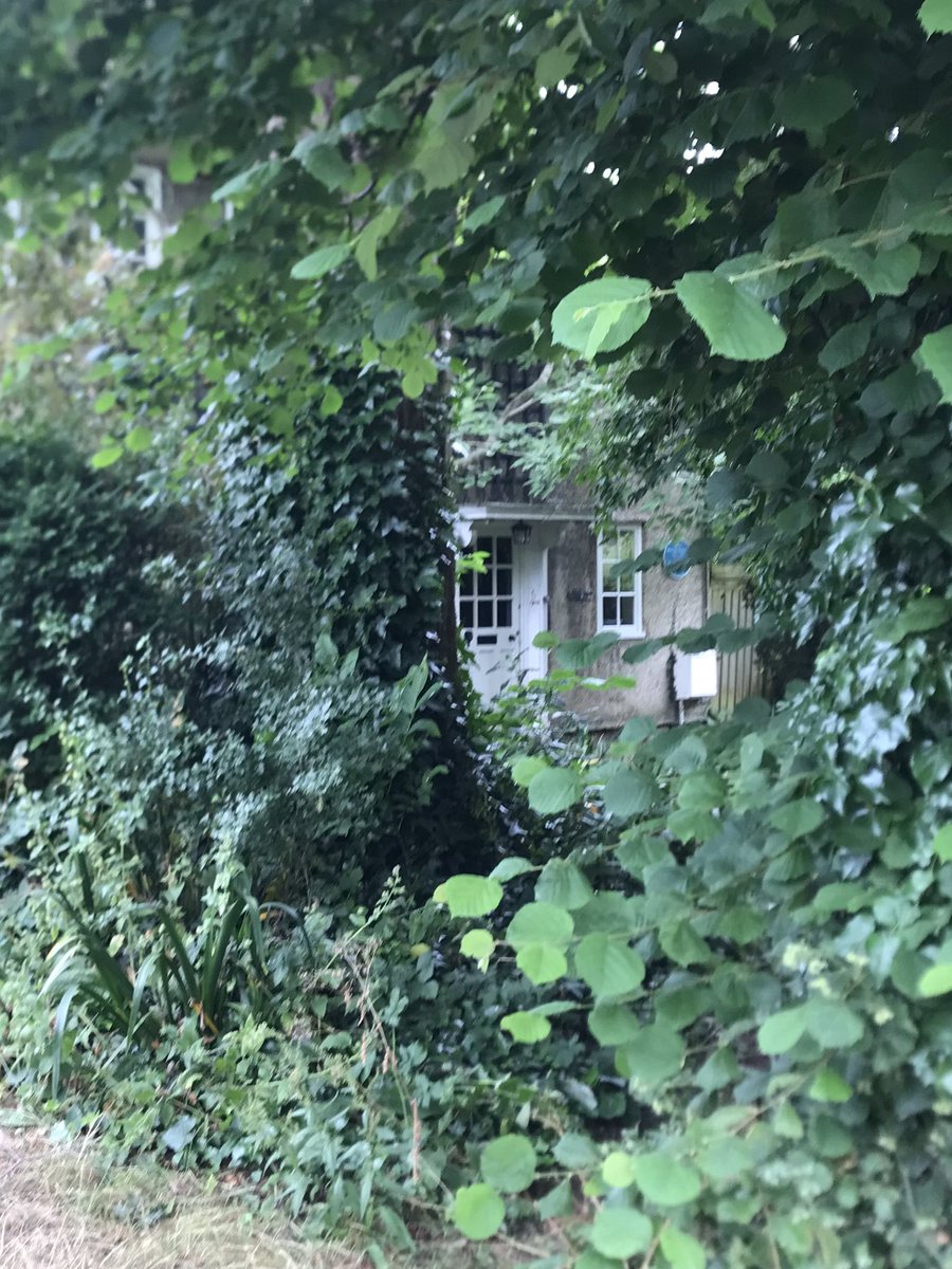 marcus field tweet media