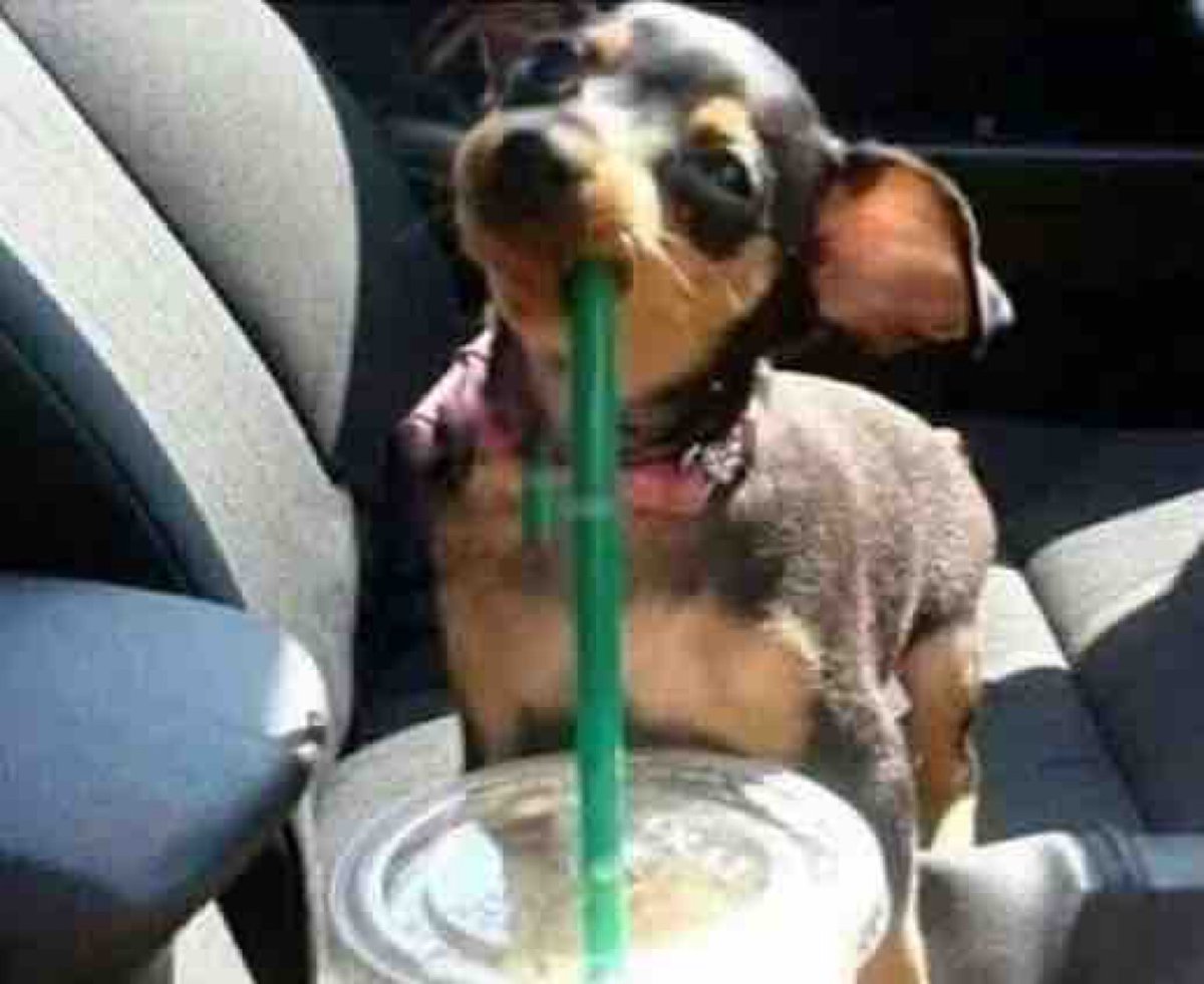 Guarromantico_'s tweet photo. Cuando me compran algo de lo que tenia antojo hace tiempo. https://t.co/LJTX7ElWzm