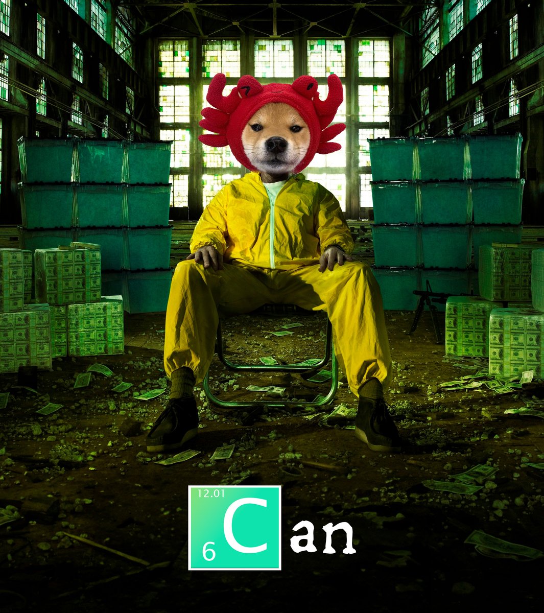 d0nspiracy's tweet photo. @canwifhat Do not fade $CAN https://t.co/ieoRnyy4JC