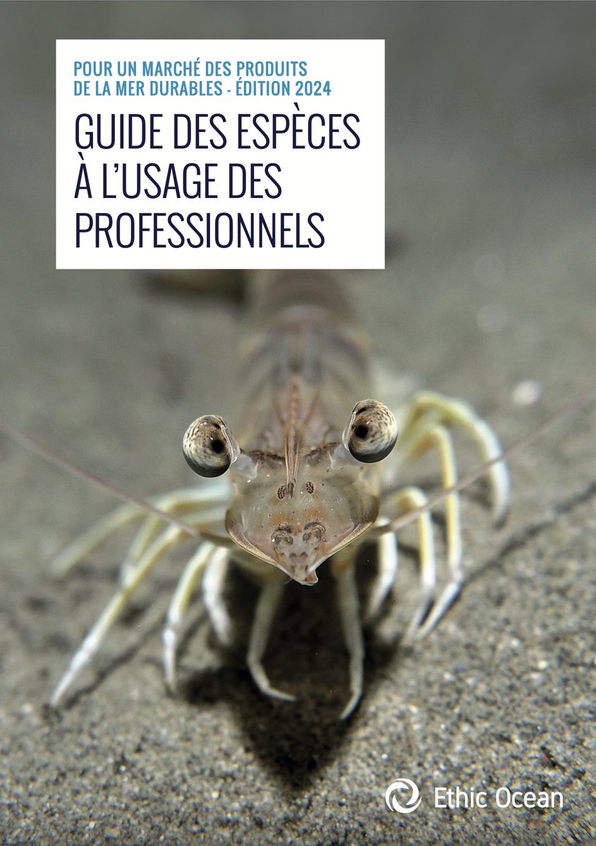 Ethic Ocean (@ethic_ocean) on Twitter photo Guide des espèces 2024 - pour les professionnels de la filière #pêche et <a href="/aquaculture/">andrew dezsery</a>
Bientôt disponible !
Pour des achats responsables en produits de la mer et des approvisionnements durables
Pour le pré-commander : contact@ethic-ocean.org
#RSE #biodiversité #produitsdelamer Guide des espèces 2024 - pour les professionnels de la filière #pêche et <a href="/aquaculture/">andrew dezsery</a>
Bientôt disponible !
Pour des achats responsables en produits de la mer et des approvisionnements durables
Pour le pré-commander : contact@ethic-ocean.org
#RSE #biodiversité #produitsdelamer