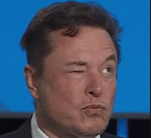 doogleinu's tweet photo. @SteveMorganOk @doogleinu Next bullish dog meme coin 2024😉 https://t.co/jCZ3AwlbBk