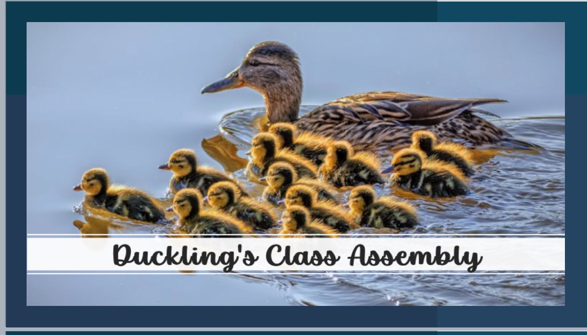 MrsColeman tweet media