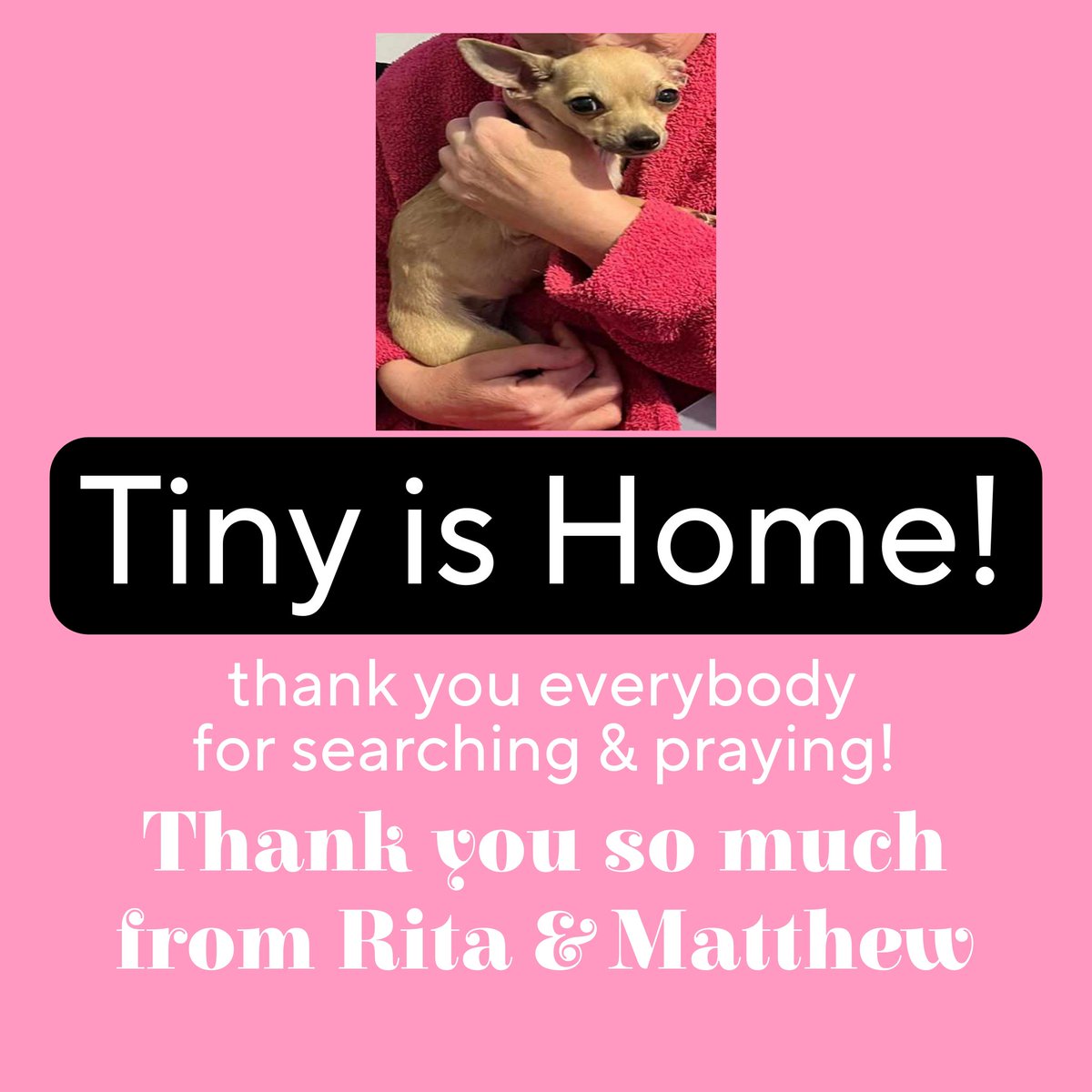 catlowry54's tweet photo. #Tinyishome ๐ https://t.co/Kr1LGD8xVb