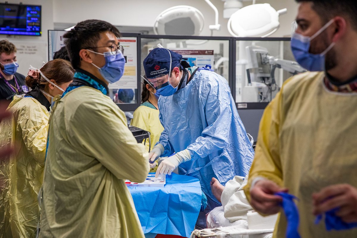 Olivia Lavery tweet media