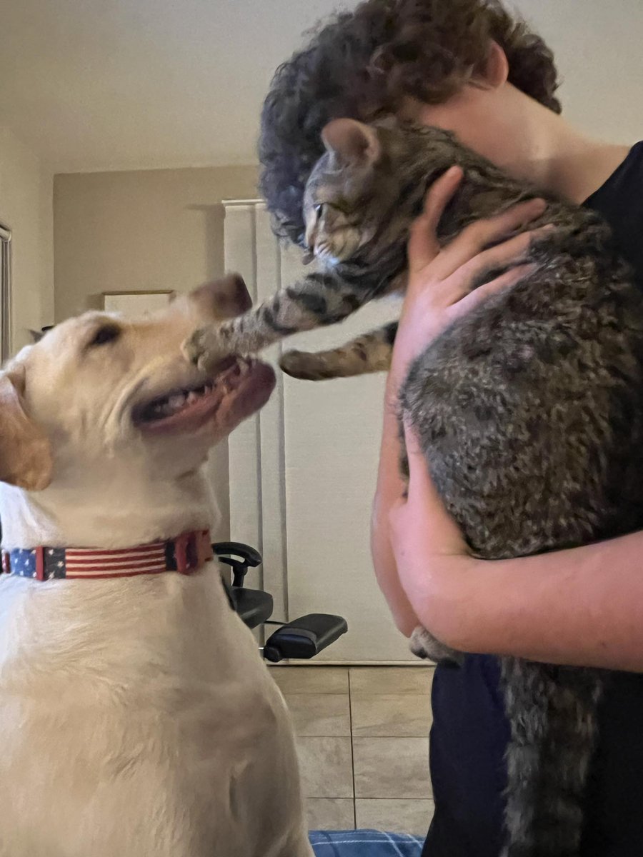 SWMaybelline's tweet photo. https://t.co/fF5ouUsnuL
Leo the Lab report: My baby brother Ziggy the Kitty is so crazy about me that he can't keep his paws off me. He's not even afraid to put them in my mouth. Now that's Trust!!!
#trust #Bond #love #dogandcarlove #Animalslover #dontbite https://t.co/uO6lg7aQIz